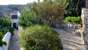 MANDRAKI HOUSE