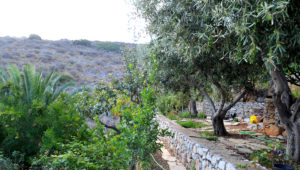 Mandraki House