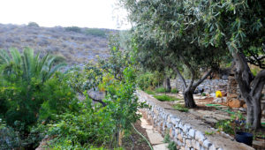 MANDRAKI HOUSE