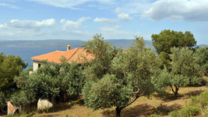 Unfinished property - Vlichos