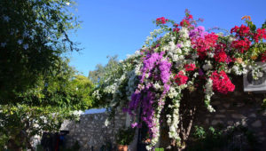 CHARMING SPITAKI IN KAMINI