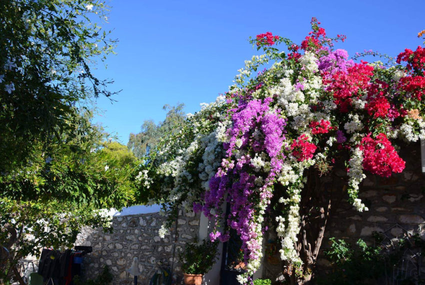 CHARMING SPITAKI IN KAMINI