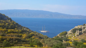 Hydra's beauty
