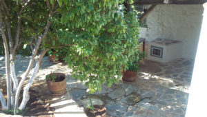 Mandraki House