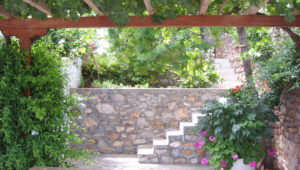 The Oasis