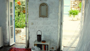 The Oasis