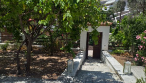 Kamini House