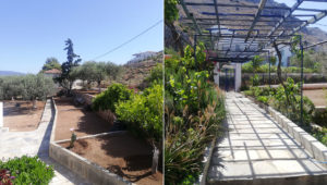 Achia House