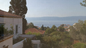 Kamini Property