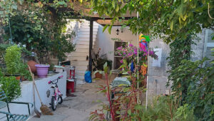Kamini Property