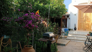 Kamini Property