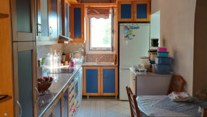 Kamini Property