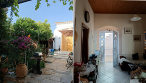 Kamini Property