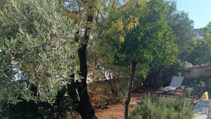 KAMINI COTTAGE