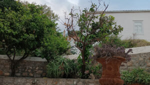 House in the Kiafa area