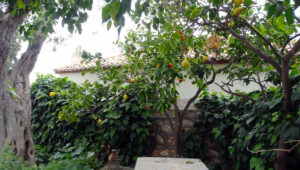 House in the Kiafa area